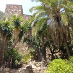 Gibraltar 2014 - Málaga Alcazaba