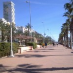 Alicante