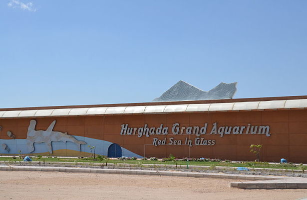 Aquarium lacne dovolenky