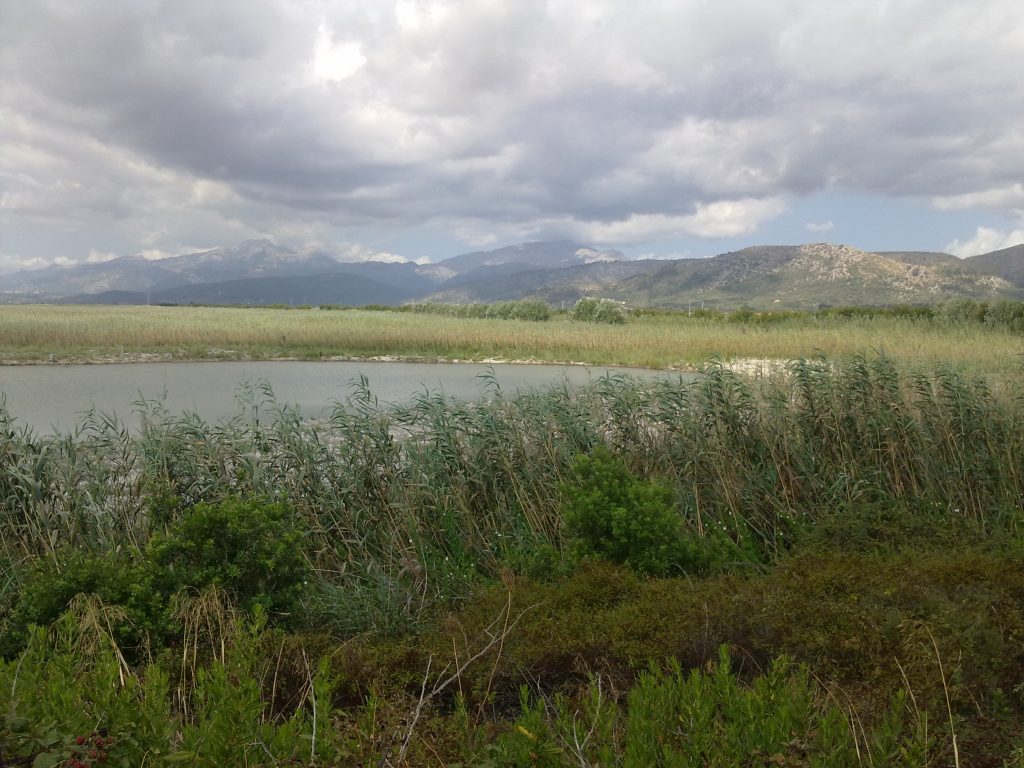 Playa de Muro – Prírodný park s´Albufera 