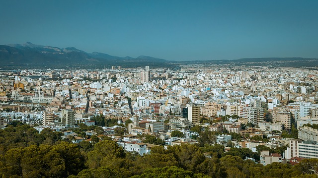 Palma de Malorka