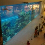 Dubai Mall - obrie akvárium