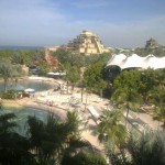 The Palm
