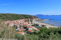 susak